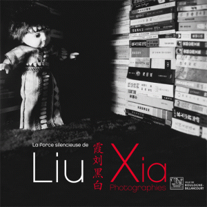Liu Xia, exhibition catalogue, Paris 2011, cover