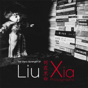 Liu Xia exhibition, NY 2012, catalogue cover