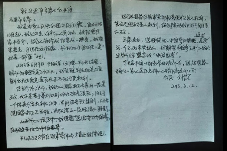 Liu Xia, "Open Letter to Xi Jinping," June 14, 2013.