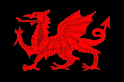 Flying Dragon LLC logo