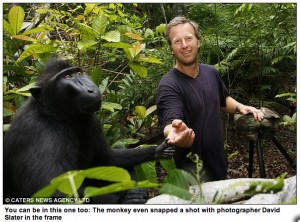 David Slater with macaque, primate photographer unidentified, Indonesia, 2011, as captioned by the London Daily Mail.