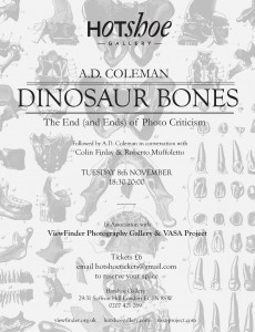 A. D. Coleman, Hotshoe lecture poster 2011