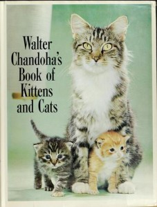 Walter Chandoha's Book of Kittens and Cats, 1963, cover.