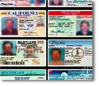 US drivers' licenses