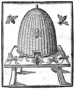 Bees_Bee hive_engraving