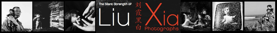 "The Silent Strength of Liu Xia," website header