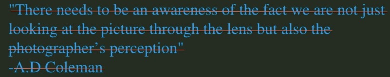 Morgan Sorensen, "The True Meaning of Pictures" (2011), screenshot.