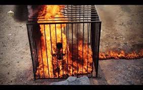 Fox News, ISIS video of Jordanian pilot's execution, 2015, screenshot (g)