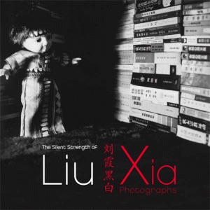 Liu Xia catalog, 2012, cover