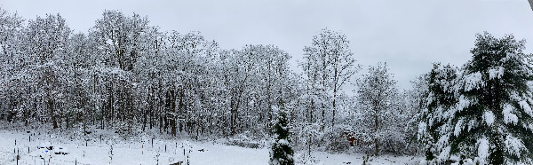 21 Lamberti Lane, the view south, December 12, 2022. Panorama by Anna Lung.