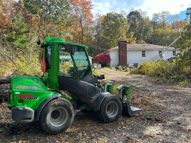 Tree work on our property, October 2023