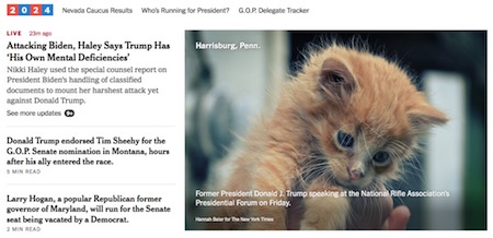 NY Times, online edition, front page with kitten, screenshot, 2024-02-09